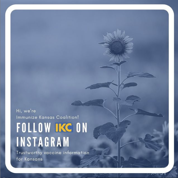 Follow IKC on Instagram